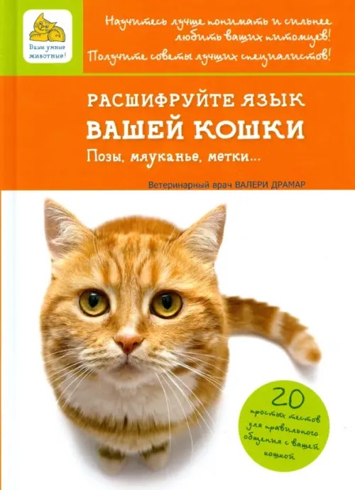 Расшифруйте язык вашей кошки: Позы, мяуканье, метки