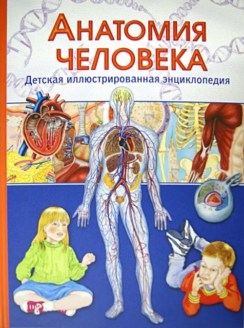 Анатомия человека: Детская иллюстрированная энциклопедия