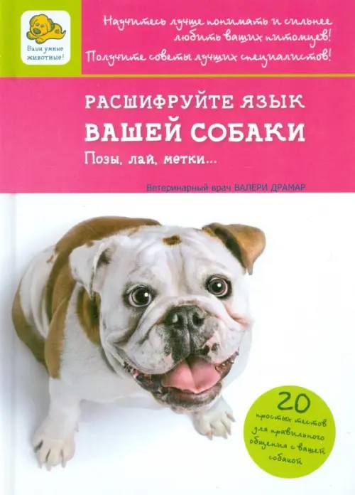 Расшифруйте язык вашей собаки: Позы, лай, метки