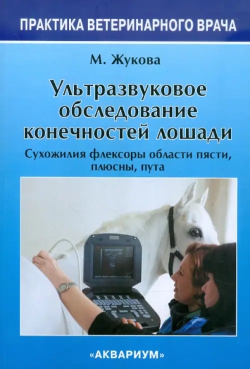 Ультразвуковое Обследование конечностей лошади